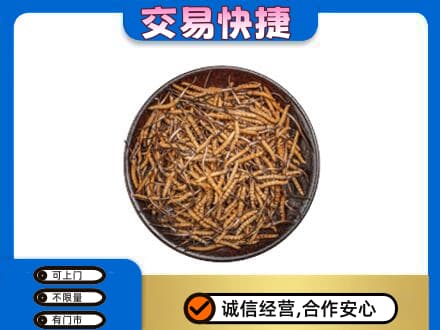 忻州五寨县回收散虫草